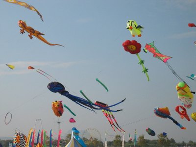 festival international de l'air de fréjus,cerfs-volants fréjus cref-volant festival fréjus,location vacances fréjus st raphael var