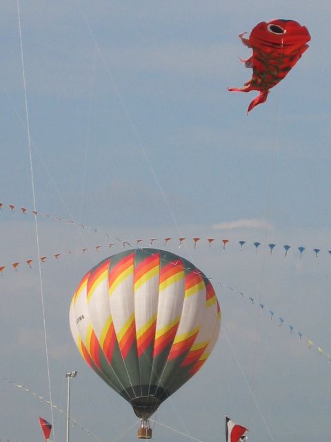 festival international de l'air de fréjus,cerfs-volants fréjus cref-volant festival fréjus,location vacances fréjus st raphael var