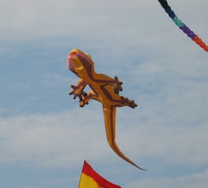 festival international de l'air de fréjus,cerfs-volants fréjus cref-volant festival fréjus,location vacances fréjus st raphael var