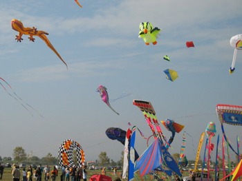 festival international de l'air de fréjus,cerfs-volants fréjus cref-volant festival fréjus,location vacances fréjus st raphael var