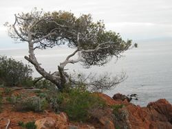 location saint raphael, villa bord de mer pied dans l'eau agay antheor