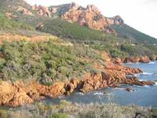 location agay,location saint raphael,location cap esterel