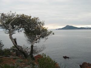 location saint raphael, villa bord de mer pied dans l'eau agay antheor