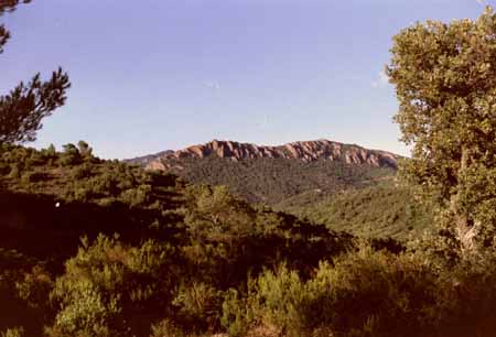 Visite de l'esterel,location d'appartements à
Boulouris