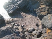 Plage d'Aiguebonne,Les plages de saint raphael Var