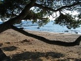 Plage de la Tortue,Plage de Boulouris,Les plages de saint raphael Var